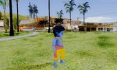 Little Krishna Skin